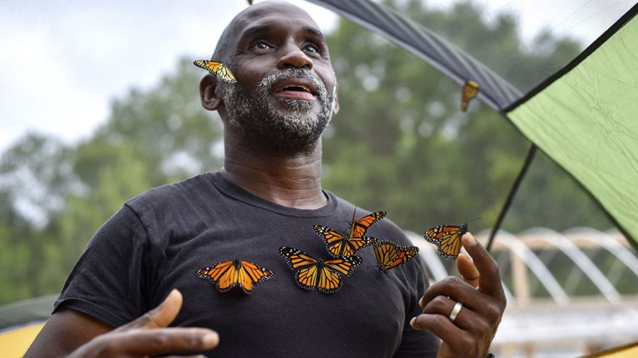 Joel Enge collects monarch butterflies to put on him for a portrait at Kingdom Life Academys garden in Tyler, Texas. Enge has been raising butterflies as a hobby for 16 years and typically does a butterfly release each year with either his students or his church. (Chelsea Purgahn/Tyler Morning Telegraph)
