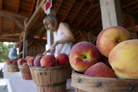 Peaches at a fruit stand