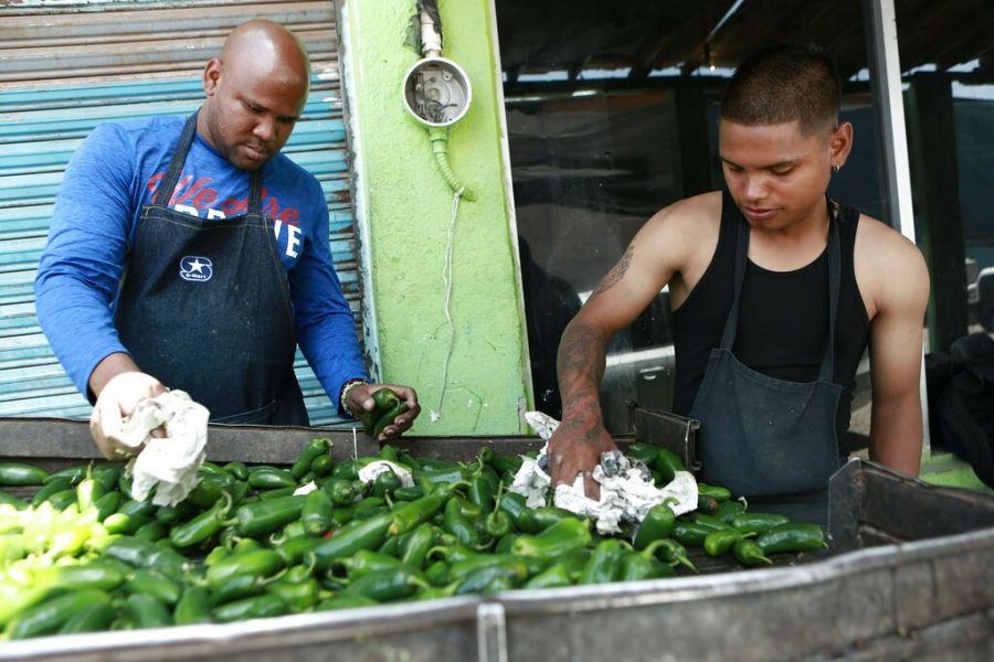 Two men stand over a crate of green peppers.
