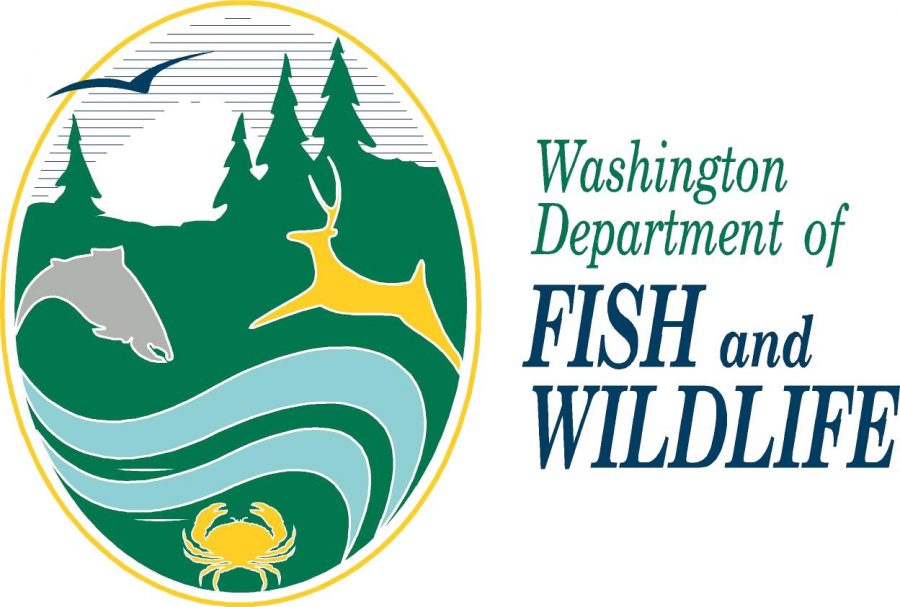 The Washington Department of Fish and Wildlife Logo