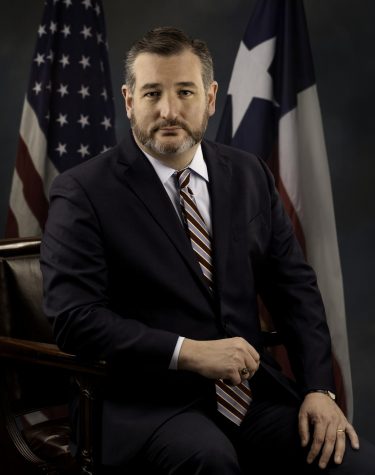 Sen. Ted Cruz portrait