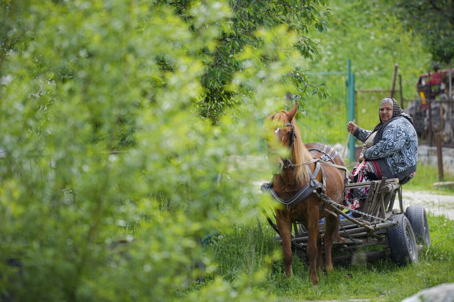 An elderly woman sits in a horse pulled cart during an eyesight examination event, in Nucsoara, Romania, Saturday, May 29, 2021. (AP Photo/Vadim Ghirda)