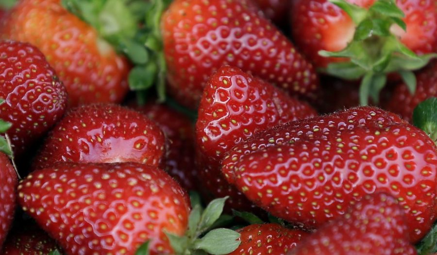 Pile+of+fresh+strawberries