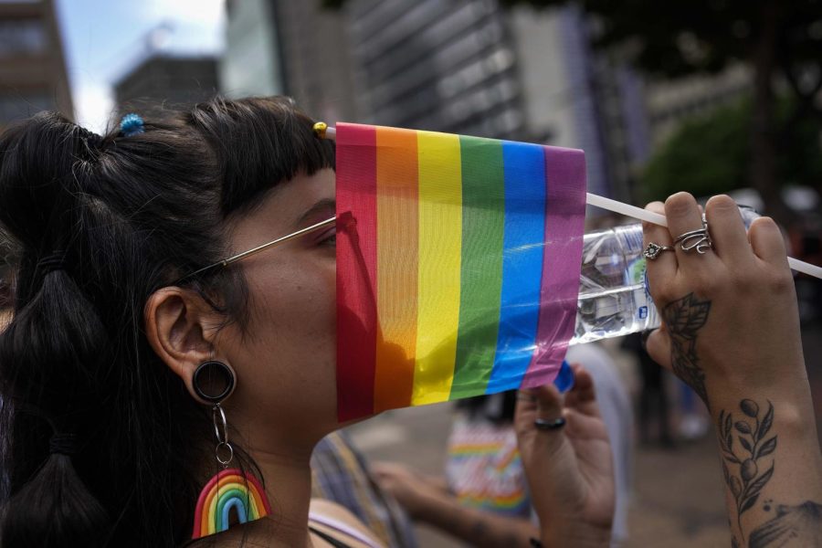 A protestor wearing rainbow earrings holds a small rainbow flag in front of her face as she drinks from a glass.