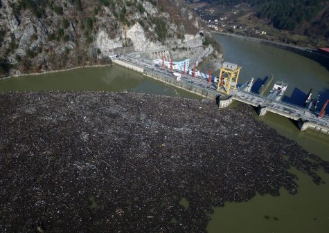 Garbage clogging Drina River