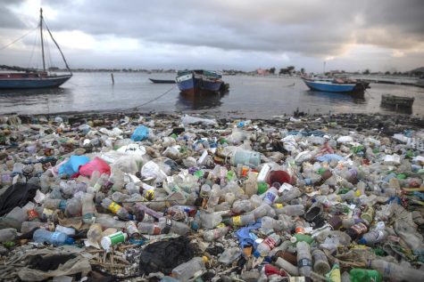 Litter along Haiti's shoreline