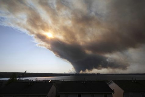 Smoke rises from forest fire