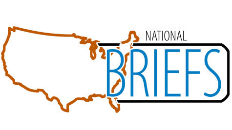 National News Briefs logo