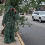 New Jersey Police in Dunellen Issue 74 Distracted Driving Citations in Six Hour Downtown Operation Using an Undercover Officer Dressed as a Shrub